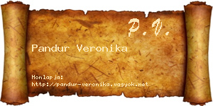Pandur Veronika névjegykártya